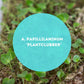 Anthurium-Papillilaminum-Plantclubber-Downtownplantclub